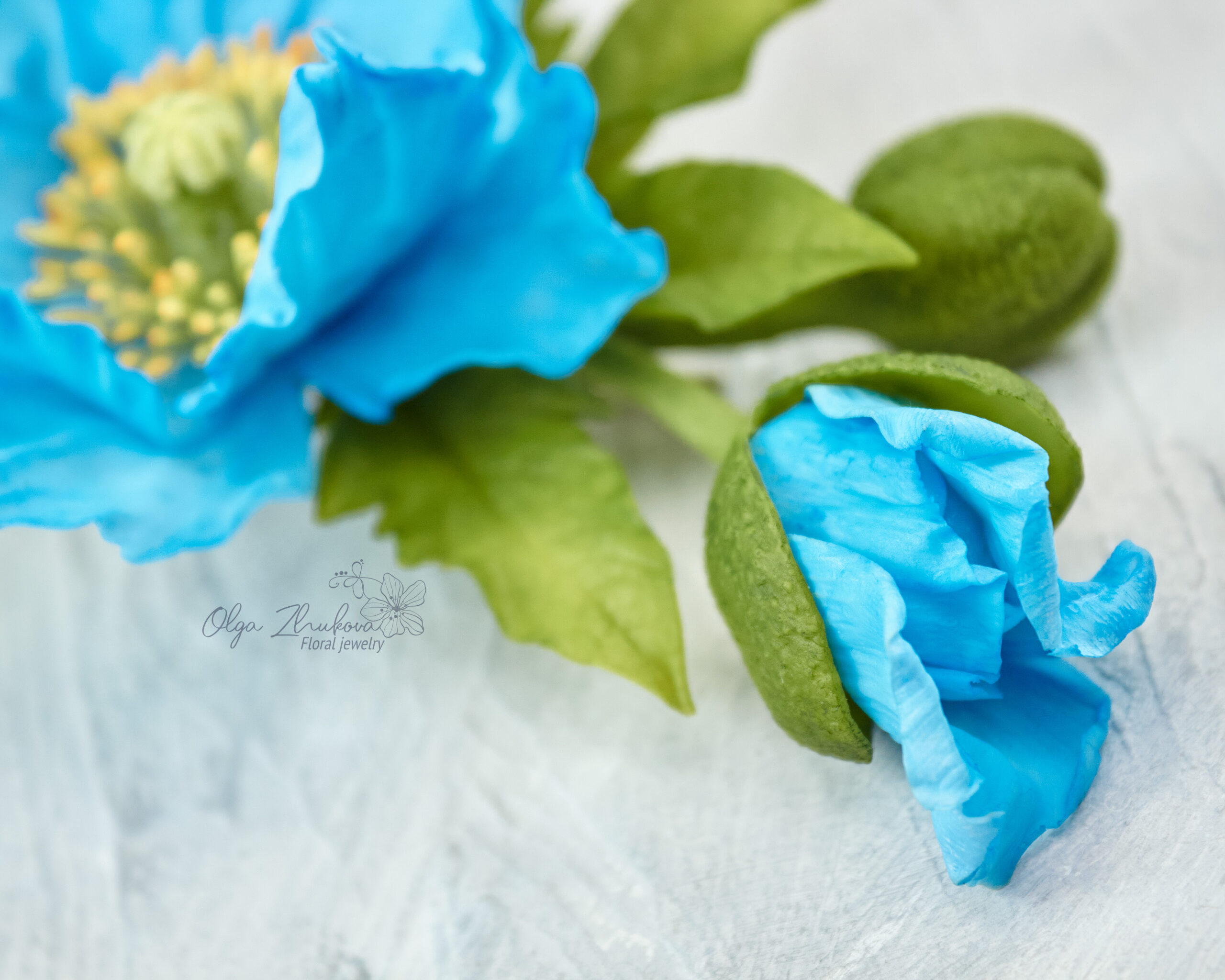 Himalayan blue poppy hair clip • 2020